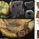 Image: De Groote et al./RSOS